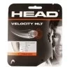 Head Velocity MLT Set Di Corde 12m - Colori Naturali -Negozio di attrezzatura professionale per il tennis 02269000 000
